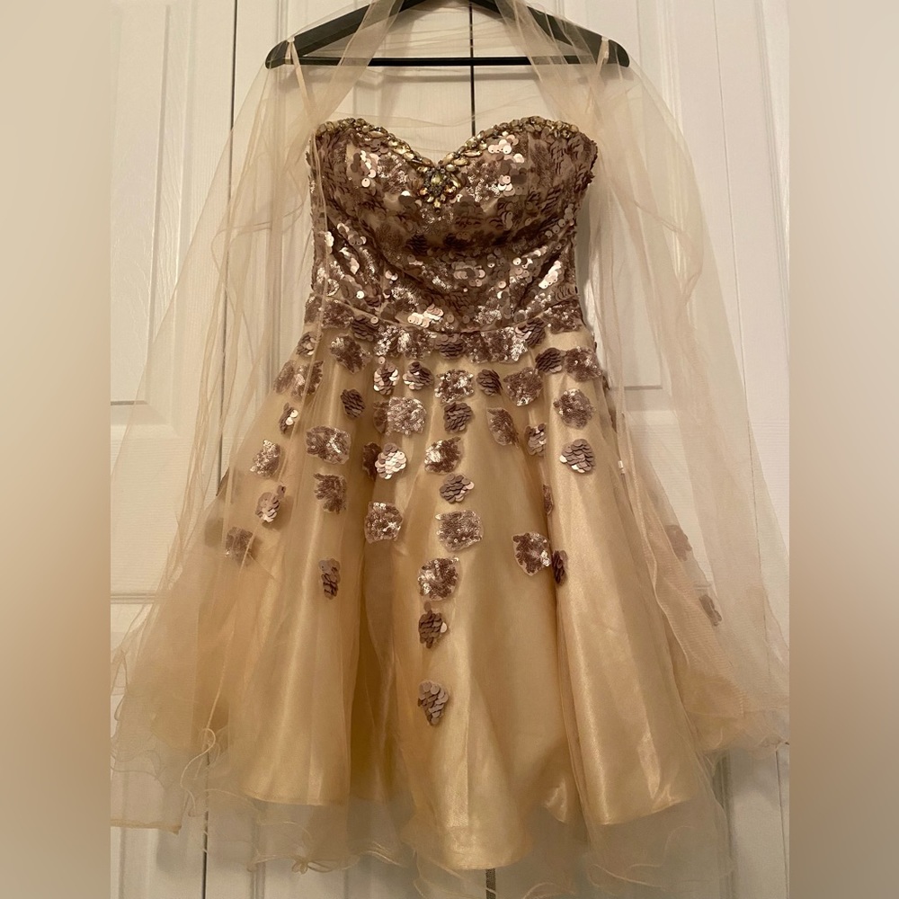 Rose gold sequin strapless dress